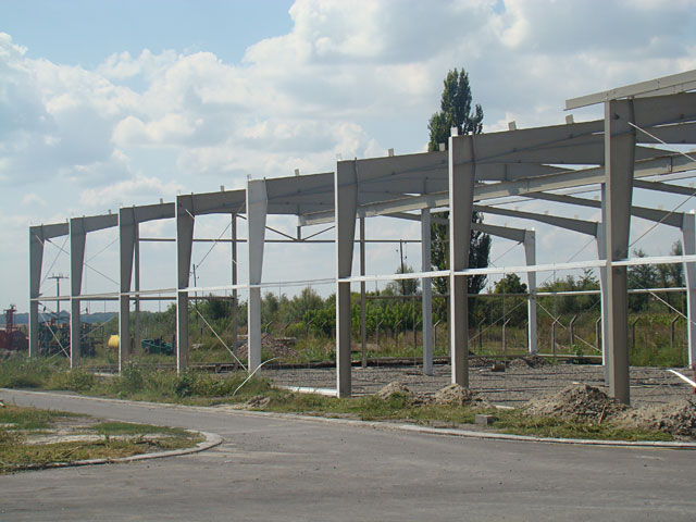 Steel structures for buildings