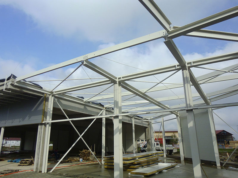 Steel structures for buildings