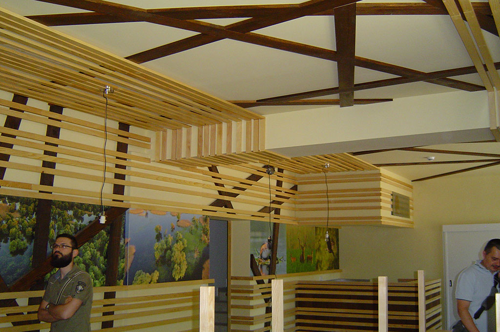 Structural renovation and remodelling