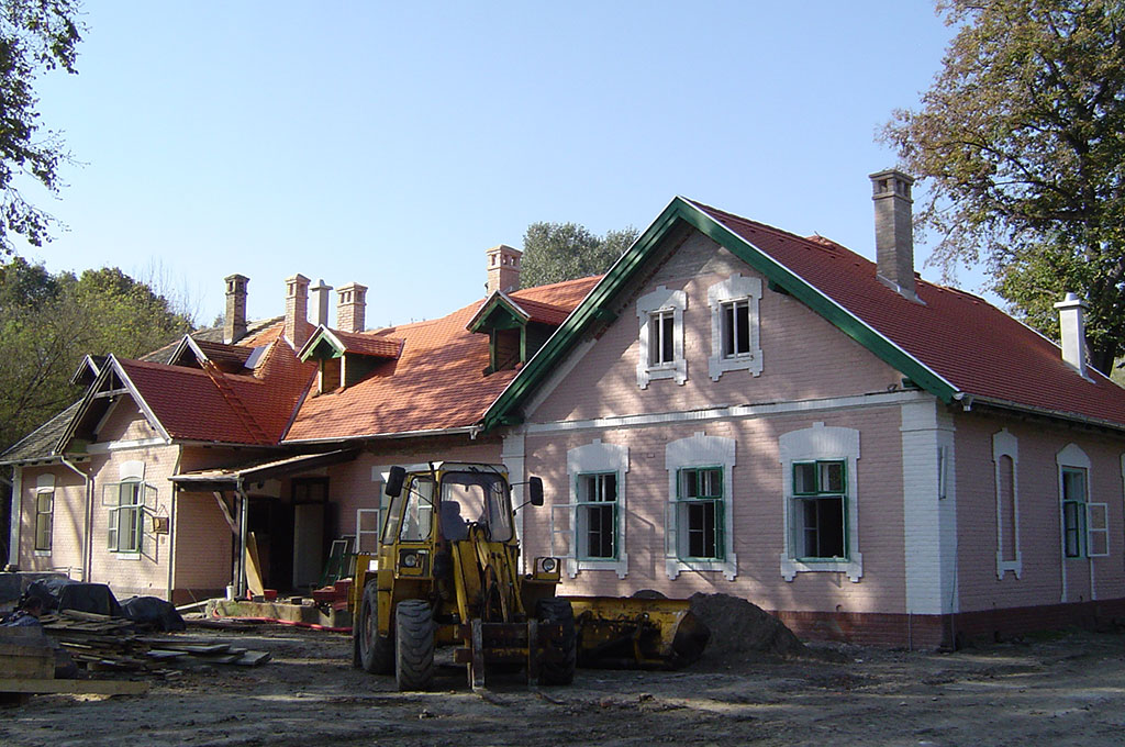 Structural renovation and remodelling